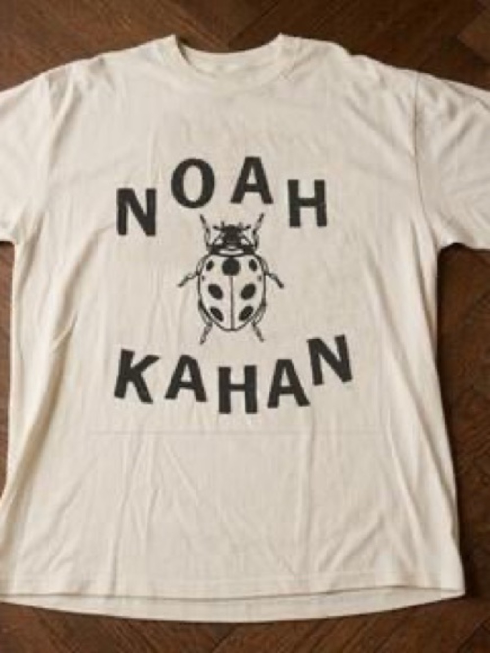 Noah Kahan Graphic Short Sleeve Tee